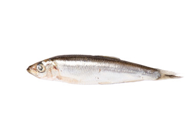 Obraz premium Dry fish isolated on white background. horizontal photo.