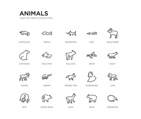 set of 20 line icons such as fennec fox, shrimp, moose, wasp, bulldog, gold fish, capybara, pike, swordfish, perch. animals outline thin icons collection. editable 64x64 stroke