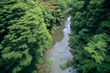 Fototapeta premium The Valley of Toyokawa - 豊川の渓谷