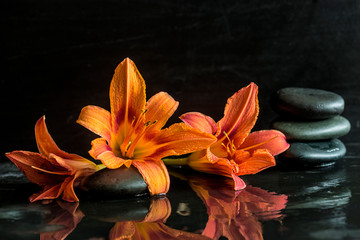 Orange daylilies reflected in wet slate and pyramid of black massage stones