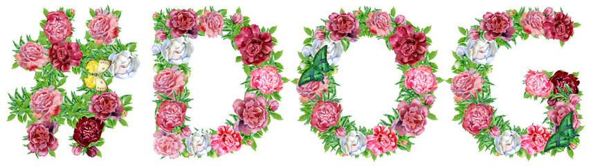 Hashtag sign with word DOG of watercolor flowers for decoration