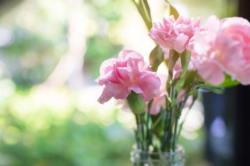 Pink Carnation flower in glass vase near the window with nature green bokeh background and copy space.