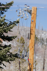 Electrical Fuses and Insulators on Pole in Forest