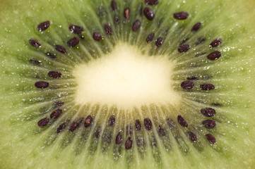 Juicy kiwi macro closeup. Background for design
