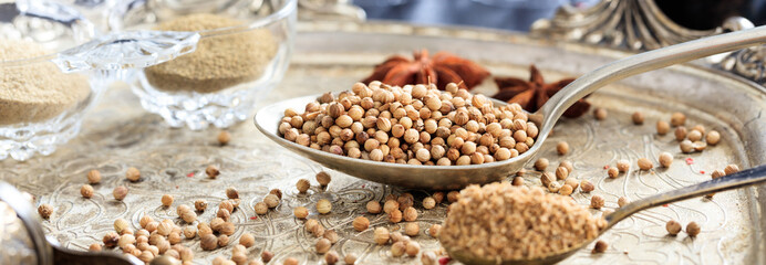 Coriander dry powder and seeds in a silver tray, banner