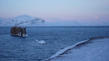 svalbard