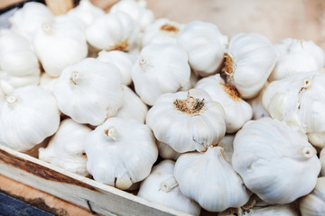 Garlic healthy vegetable