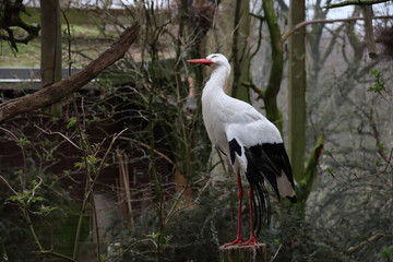 Tierpark Olderdissen