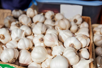 Garlic healthy vegetable