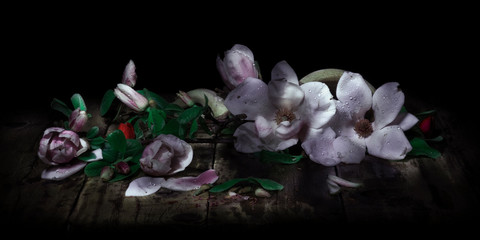 Trova l intruso © nikopomata