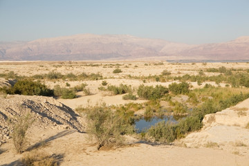 Fototapeta na wymiar Dead sea. Israel.