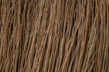 Broom texture. Abstract background of dark yellow color. Macro broom branches