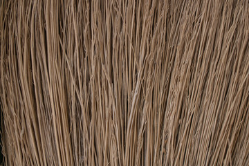 Broom texture. Abstract background of dark yellow color. Macro broom branches