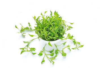 Watercress in bowl isolated on white background.