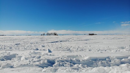 Obraz premium Montana Field in the Snow