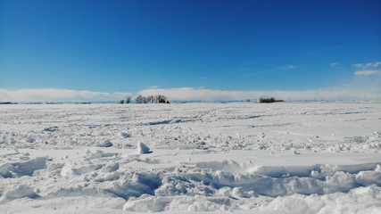 Fototapeta na wymiar Montana Field in the Snow