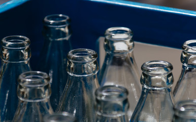 Group of bottle glass