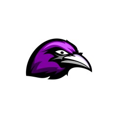 raven head logo sport