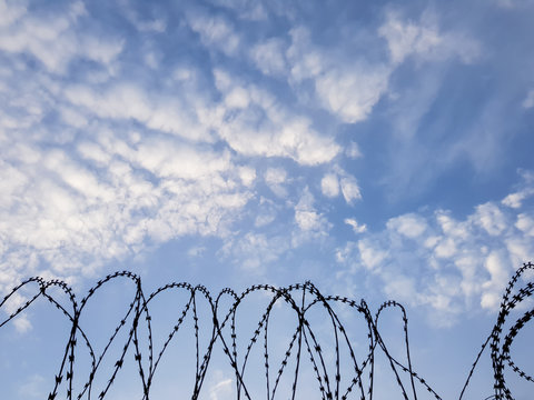 Barbed wire coils silhouette against the blue sky - security fence, incarceration or detention background