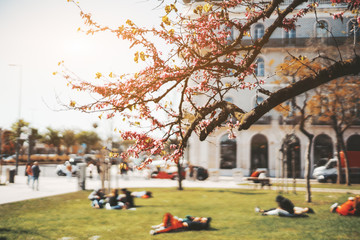 Small cozy spring glade in the center of Lisbon with multiple people laying, relaxing and enjoying the sun on it and a branch of an amazing blossoming sakura tree with small pink flowers in foreground - Powered by Adobe