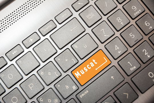 Orange button on the PC with the word Muscat