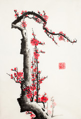 plum blossom branch - 257056145