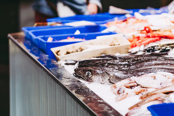 Poisson frais sur l'étal d'un poissonnier