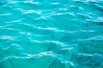 Fototapeta premium Coral reef is visible through the clear blue water. Beautiful blue sea wave photograph close up. Beach vacation at sea or ocean. Background to insert images and text. Tourism, travel.