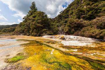 Waimangu Volcanic Valley, North Island, New Zeland