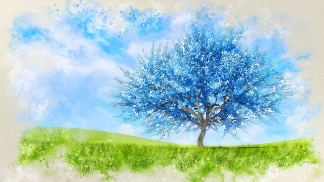 Watercolor Sketch Of Blue Cherry Tree In Blossom