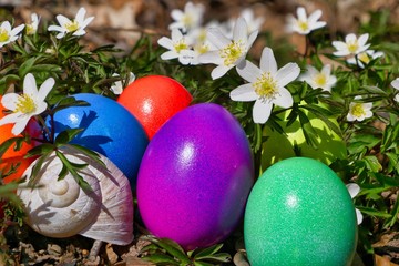 Easter eggs as a decorative background for greeting cards