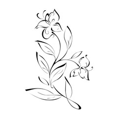 stylized twig with two flowers and leaves in black lines on a white background