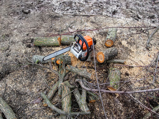 Obraz premium Chainsaw lies on ground among logs and sawdust, top view. Concept of spring and autumn rejuvenation of the garden, a chainsaw among the branches and pieces of apricot trunk, background with copy space