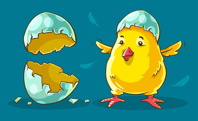 Chicken baby hatched from egg. Yellow nestling domestic bird near shells of eggs. Flying feathers around on blue background. Easter holiday. Eps10 vector illustration.