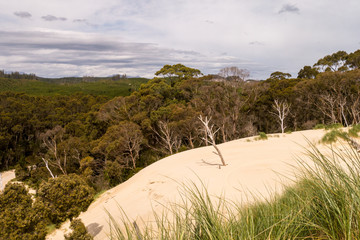 Wundervoller Ausblick in die Umgebung der Henty-Sanddünen