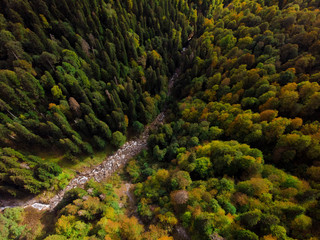 Aerial view of a mountain river