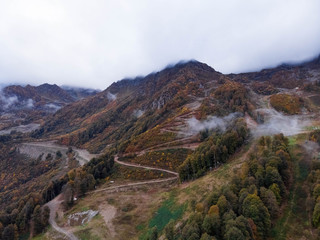 Aerial view of winding road