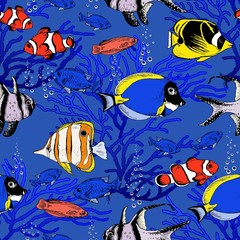 Naklejka premium Seamless pattern with colorful tropical fishes and corals. Hand drawn vector on blue background.