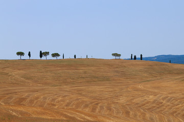 Obraz premium Tuscany hills panorama summer view, Italian landscape