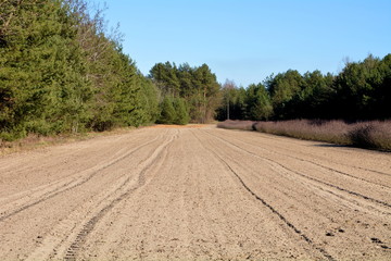 widok na pola