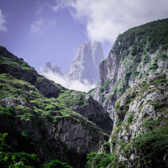 Montañas nibladas / Cloudy mountains