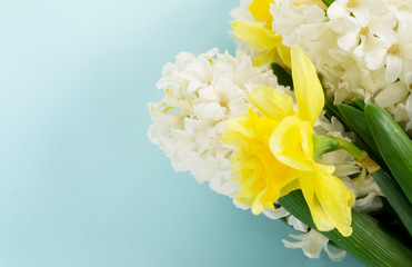 hyacinth and daffodils