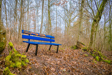 blaue Sitzbank im Wald