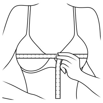 measuring bust size with ruler clip art preview