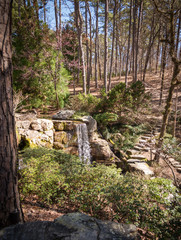 waterfall in the forest