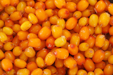 Frozen sea buckthorn berries. View from above.