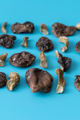 Slices of dry boletus mushrooms isolated on blue background. Dried mushrooms on a blue background. Background blank. vertical photo