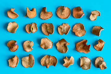 slices of dried apple on blue background. Shallow depth of field. Homemade sun-dried organic apple slices
