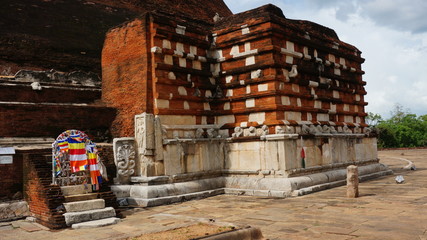Gray langur, Semnopithecus entellus, monkey from Sacred City, walking on wall against red Jetavanaramaya stupa. Scene from Anuradhapura, Sri Lanka.