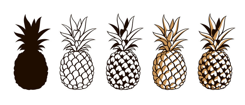 collection of pineapple tropical fruits isolated on white background